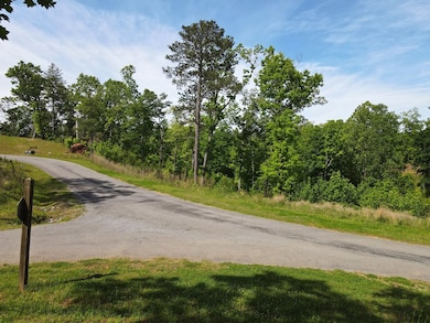 LOT 108 High River, Ellijay, GA 30540 - photo 5