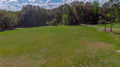 9212 San Jose Blvd, Howey In the Hills, FL 34737 - photo 4