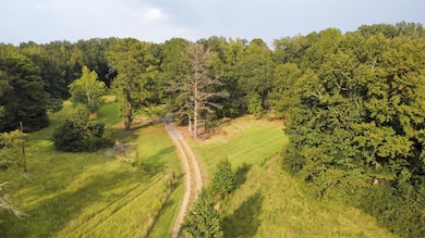 1142 Waddell Rd, Cedarbluff, MS 39741 - photo 5