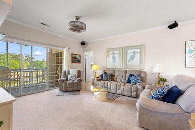 Carpeted living area with crown molding, a healthy