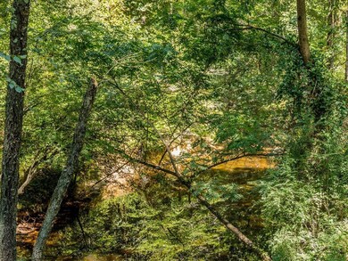 TBD Beech Forest Way, Pittsboro, NC 27312 - photo 7