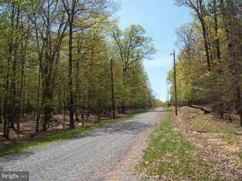 313 Chimpmunk Way, Great Cacapon, WV 25422 - photo 5