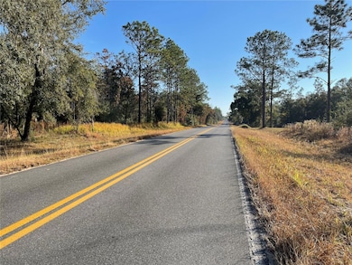 9650 NE 80th St, Bronson, FL 32621 - photo 5