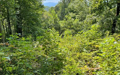 LOT 30 High Meadows, Hayesville, NC 28904 - photo 5