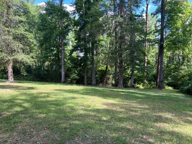 208 Petross Rd, Vidalia, GA 30474 - photo 3