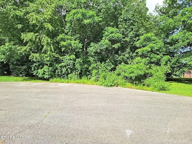 0 Bear Den - Lot 21, Crossville, TN 38571 - photo 4