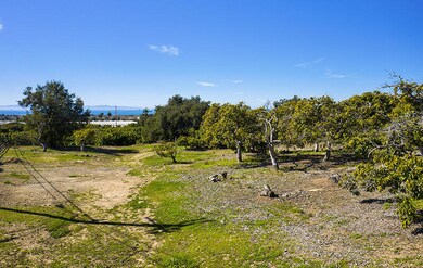 06-RMA-Santa Monica Rd_0010-Lot 2