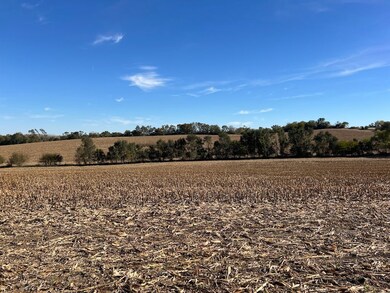 650 County Road R, Yutan, NE 68073 - photo 6