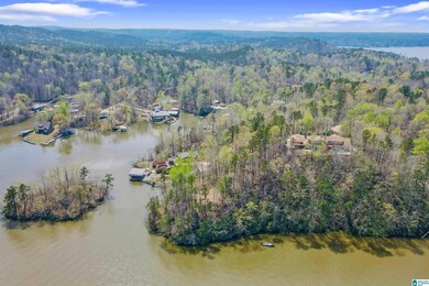 87 Water Spring Ct, Rockford, AL 35136 - photo 6