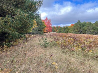 back field