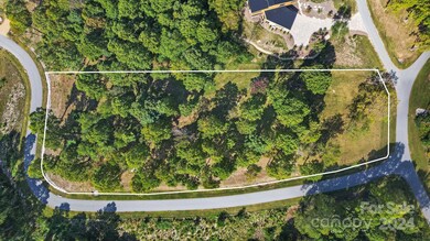 158 Laurel Ledge Way unit 28, Fletcher, NC 28732 - photo 5