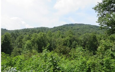 Additional View
