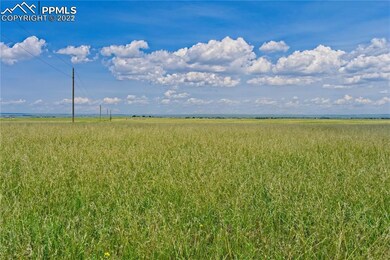 20305 Joyful View, Peyton, CO 80831 - photo 2