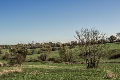 Tract 3 E 425th Rd, Fair Play, MO 65649 - photo 4