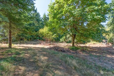 110 Rawlins Rd, Toledo, WA 98591 - photo 3