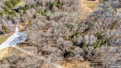 5-web-or-mls-DJI_20250310151359