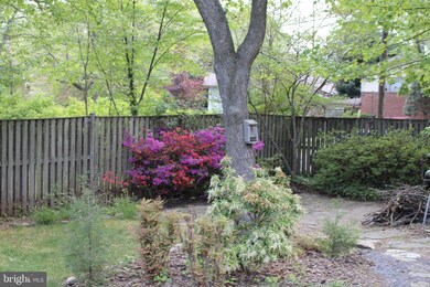 2521 Harmon Rd, Silver Spring, MD 20902 - photo 6