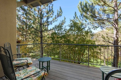 1140 Carbon Jct unit 24, Durango, CO 81301 - photo 7