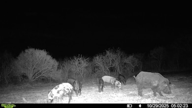 0 County Road 215, McCoy, TX 78113 - photo 6