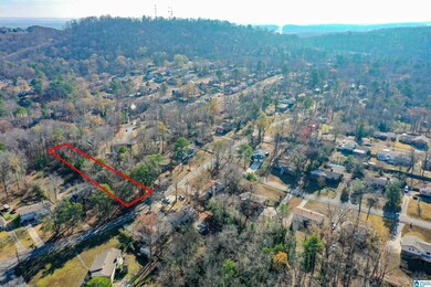 1409 Pine Tree Dr, Birmingham, AL 35235 - photo 5