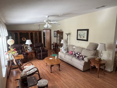 17430 NW 80 Ct, Fanning Springs, FL 32693 - photo 3