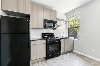 4875 N Magnolia Ave unit 302, Chicago, IL 60640 - photo 4