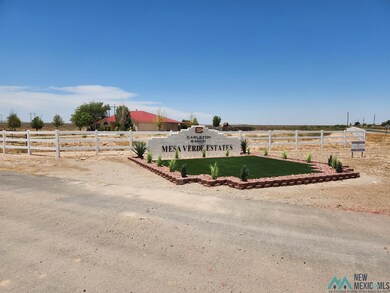 Lot 5B N Tagwood Ln, Carlsbad, NM 88220 - photo 2