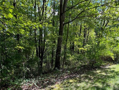 0 68 & 70 Evergreen Dr unit 701184, Schuylkill, PA 18252 - photo 3