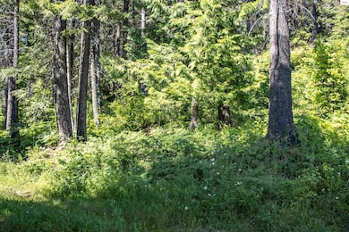 Lot 4 Windham Rd, Sagle, ID 83860 - photo 7