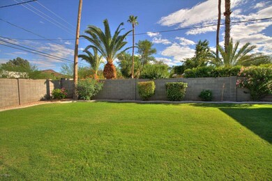 grassy area in backyard