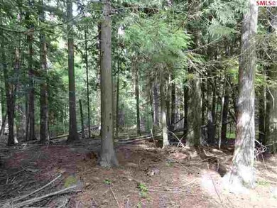 NNA Audrey Ln, Sagle, ID 83860 - photo 4