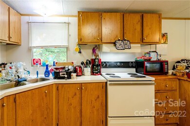 10 Harmony Ln, Leicester, NC 28748 - photo 5