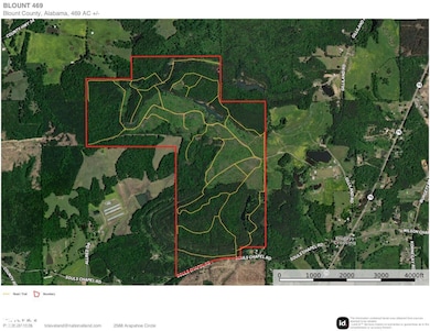 0 Souls Chapel Rd unit 24634253, Blountsville, AL 35031 - photo 5