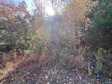 4604 Legacy Preserve Way SE, Brownsboro, AL 35741 - photo 3