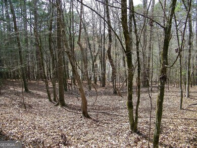 LOT 5 Blackberry Bend, Elberton, GA 30635 - photo 7