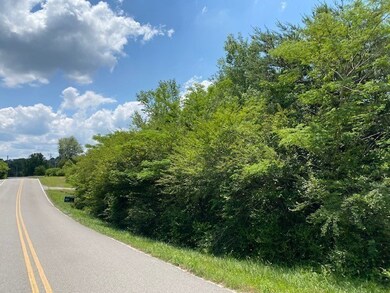 0 Bone Cave Rd unit RTC2360432, Rock Island, TN 38581 - photo 3