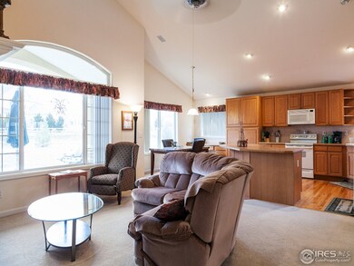Living and Kitchen Great Room