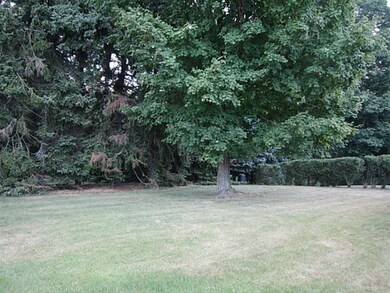 Yard/Garden.