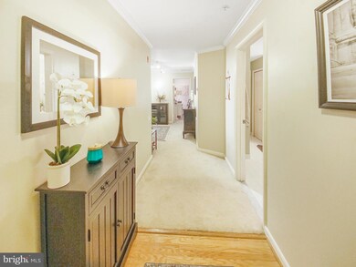 127 Timberbrook Ln unit 203, Gaithersburg, MD 20878 - photo 4