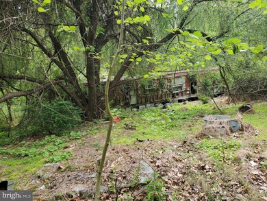 1344 Hoffmaster Rd, Knoxville, MD 21758 - photo 5