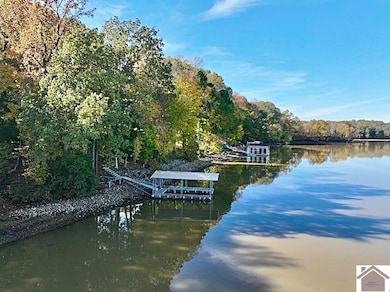 81 Beech Point Dr, Cadiz, KY 42211 - photo 4