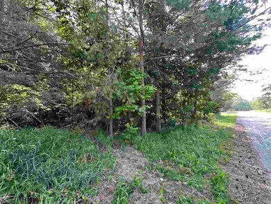 TBD Sheridan, Petoskey, MI 49770 - photo 6