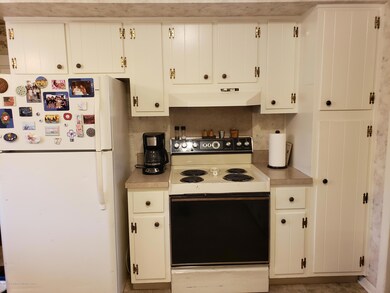 2509 Victor Ave, Lansing, MI 48911 - photo 6