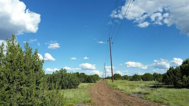 1639 Silver Lake Blvd, White Mountain Lake, AZ 85912 - photo 2