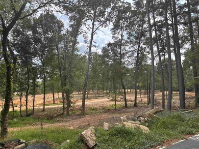 168 Stagecoach Trail, Cabot, AR 72023 - photo 7