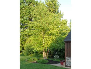 Yard/Garden