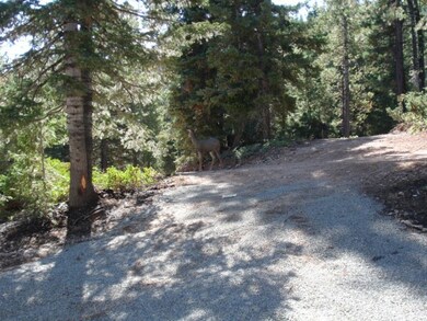Lot 29 Zion View Mountain Estates unit A, Duck Creek, UT 84762 - photo 3