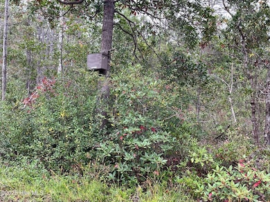 349 Magnolia, Southport, NC 28461 - photo 3