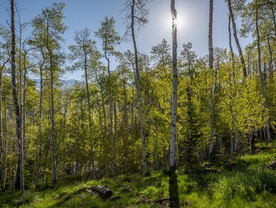 20150603-Lot389-10