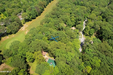vacant lot Blue knob-5